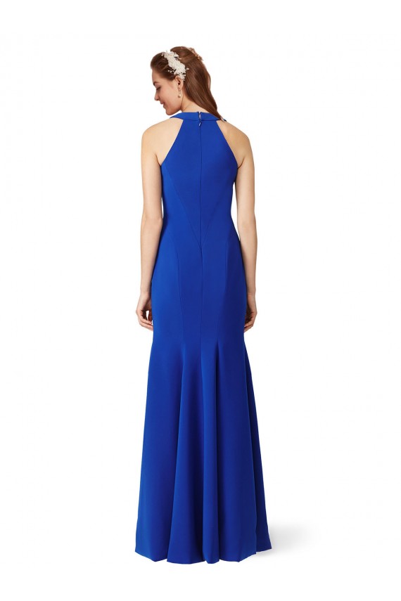 Royal Blue V-Neck Sleeveless Long Mermaid Prom Dress Canada Supplier